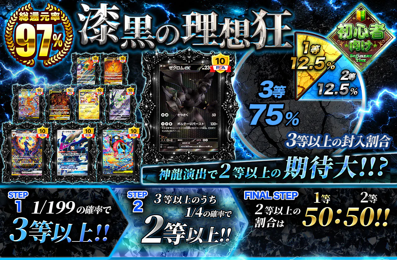 漆黒の理想狂