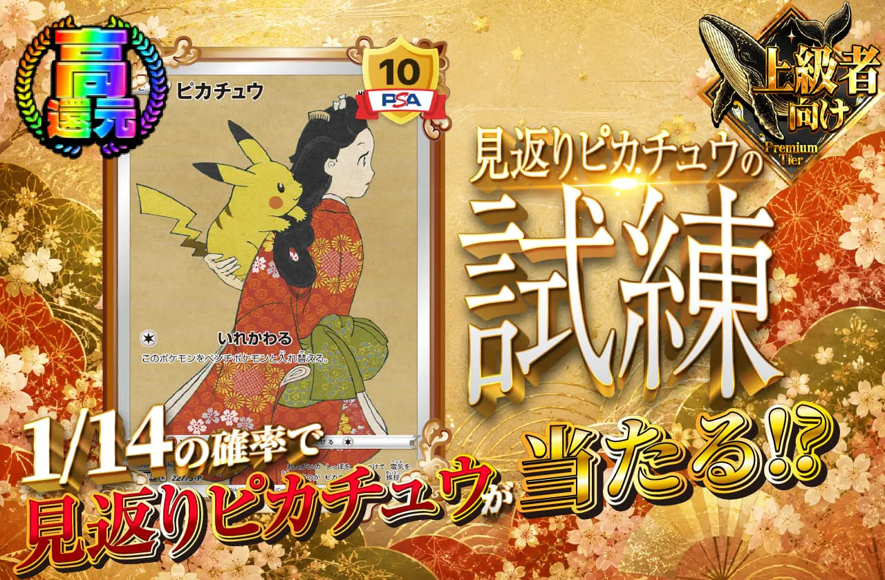 見返りピカチュウの試練