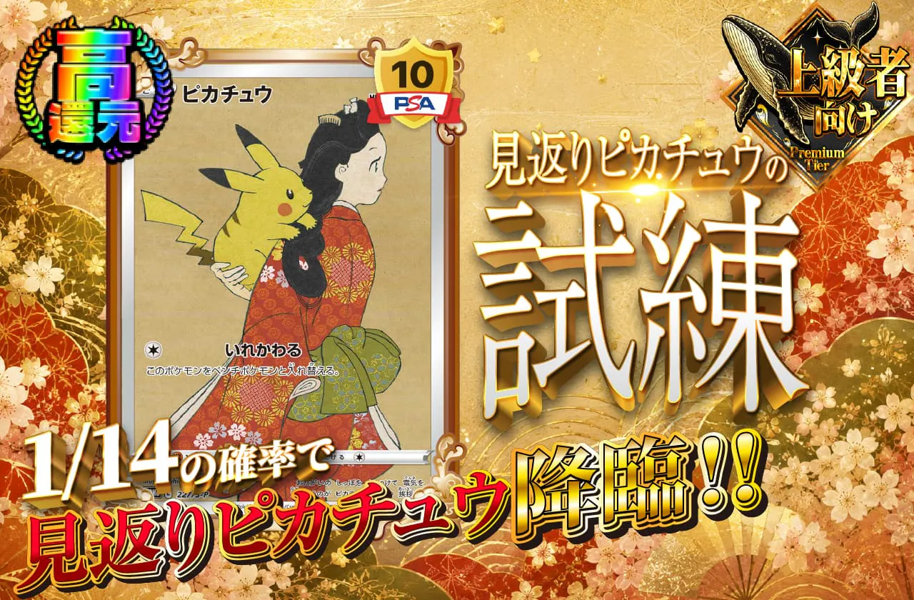 見返りピカチュウの試練