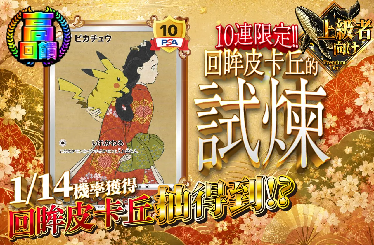 見返りピカチュウの試練