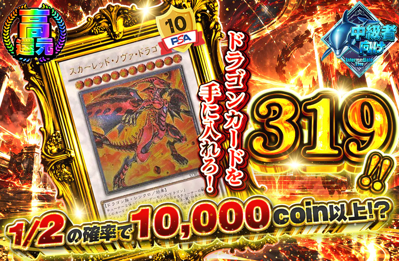 ドラゴンカードを手に入れろ！319!!