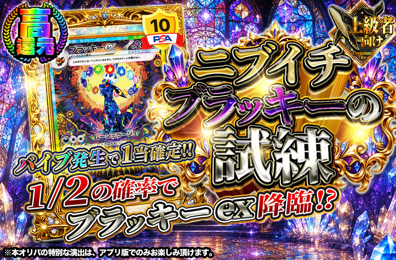 ブラッキーex ニブイチ