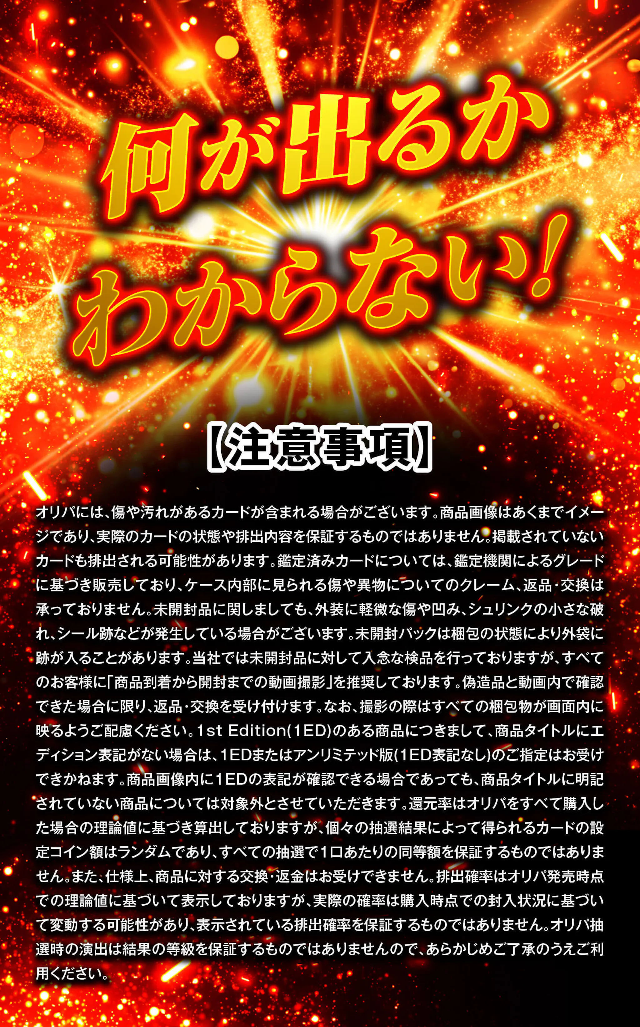 真・リザフェス