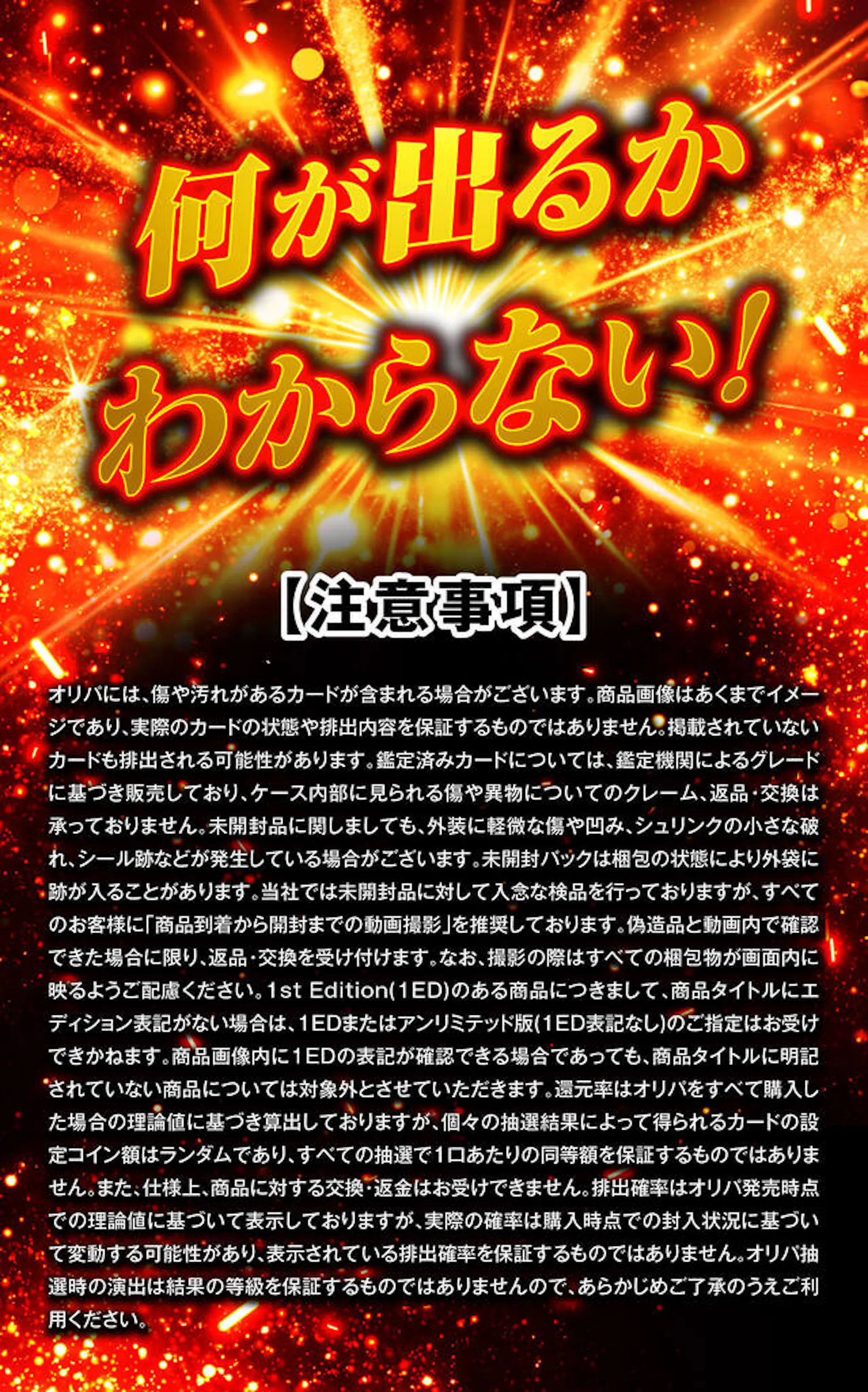 真・リザフェス