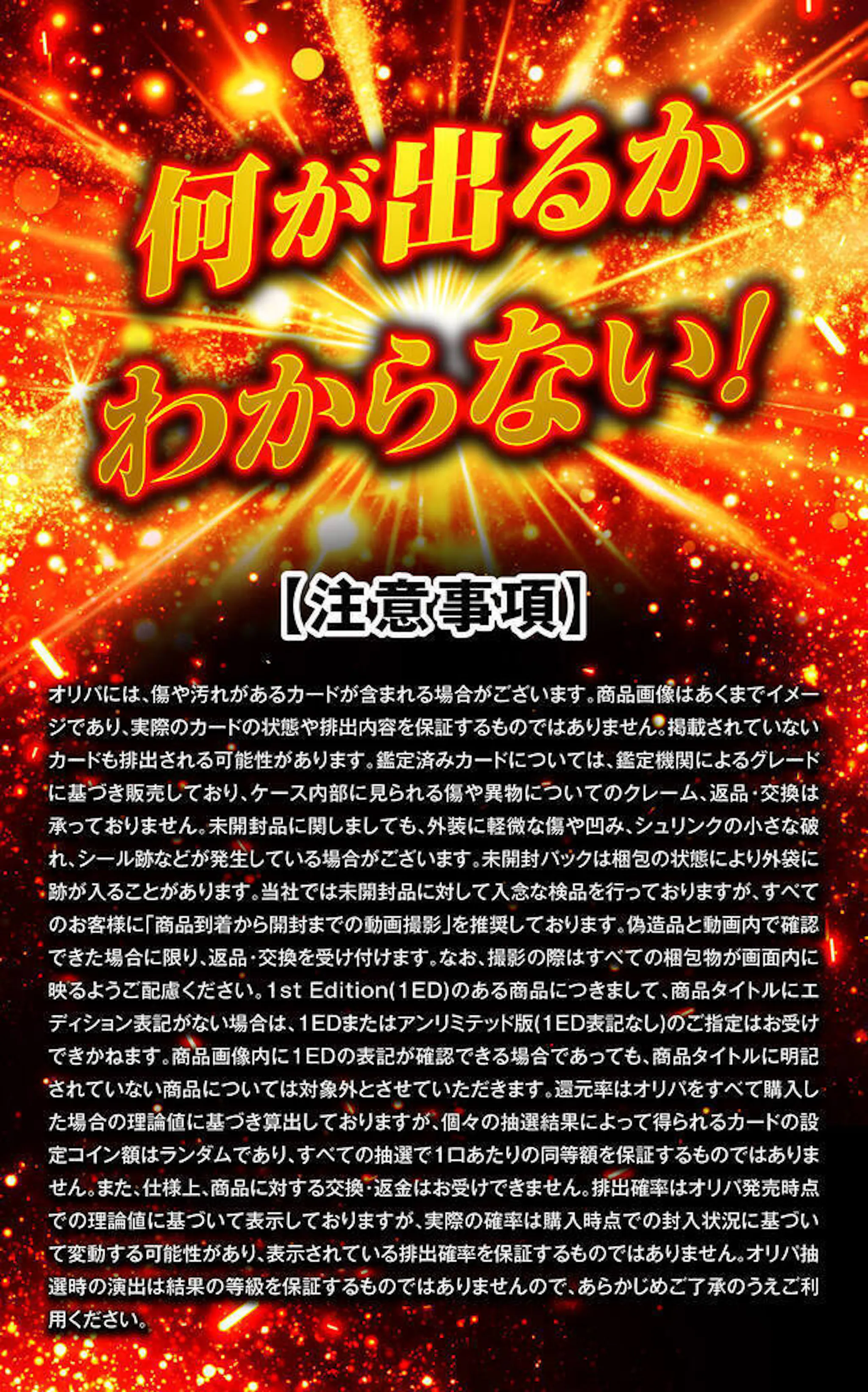 真・リザフェス